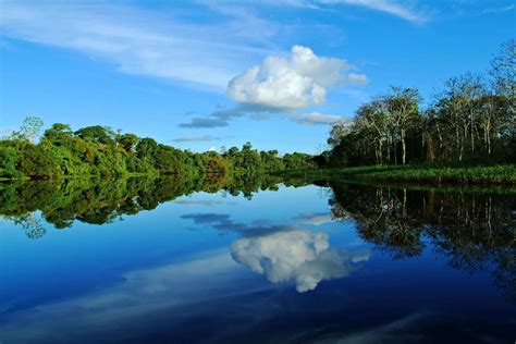 Amazon River Cruises Luxury Cruise Travel And Wildlife Tour