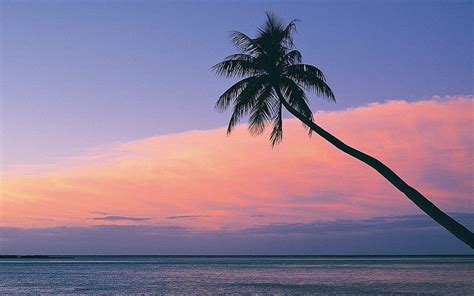 Fiji Beach Sunset Hd Wallpaper Peakpx