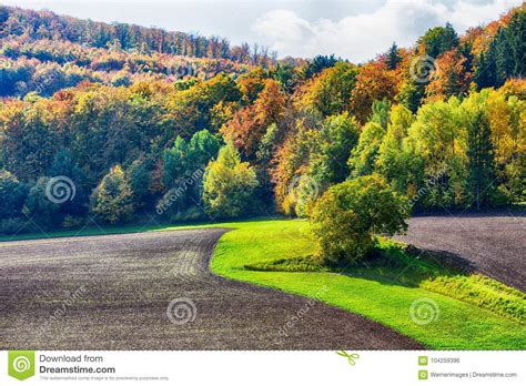 Beautiful Colorful Forest And Field In The Fall Stock Photo Image Of