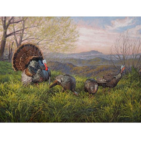wild turkey art ryan kirby wildlife and hunting art