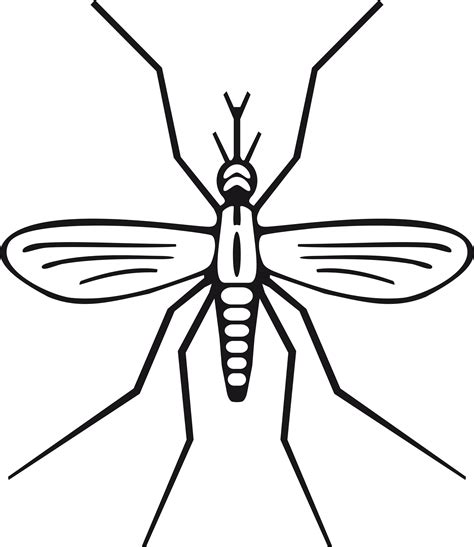 Clipart Mosquito