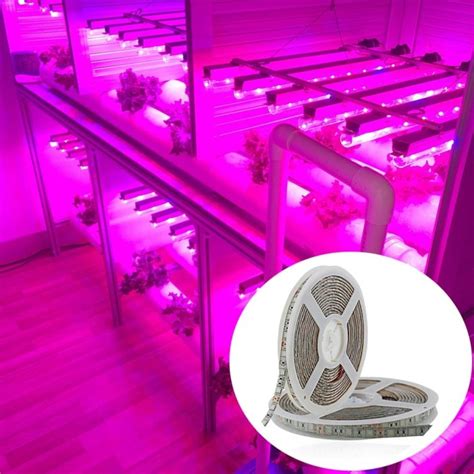 Led Grow Light Hydroponic Strip 5M Lampu Tanaman Hidroponik 12V 5M