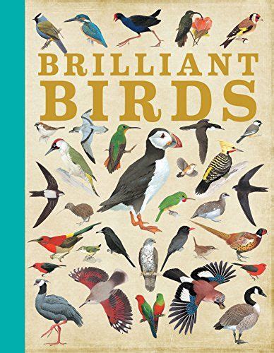 Brilliant Birds By Qed Publishing Animal Books Birds Birds Online