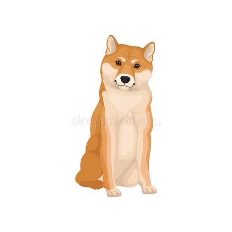 Detailed Flat Vector Icon Of Sitting Shiba Inu Home Pet Human S Best