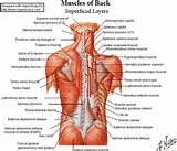 Back Side Shoulder Pain