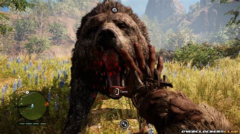 Far Cry Primal Review Graphics Overclockers Club