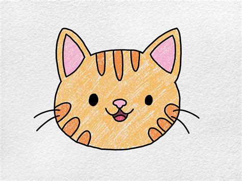 Easy Cat Face Drawing Helloartsy