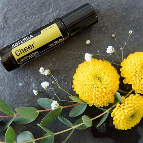 DoTERRA CPTG Cheer Touch Essential Oil 10ml HealthyBodyHeadToToe