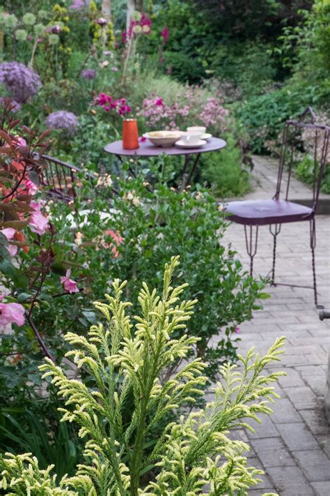 10 Garden Planting Ideas For Small Gardens The Middle