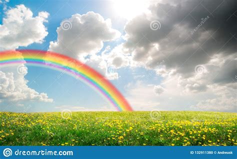 Spring Field Landscape With Flowers And Rainbow Stock Photo Image Of