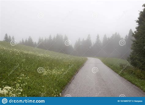 Misterious Foggy Road In Austrian Cantry Side Woodland And Meadow