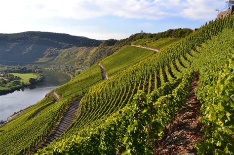 Moselle (countable and uncountable, plural moselles). 10 Great German Destinations for Year-Round Travel