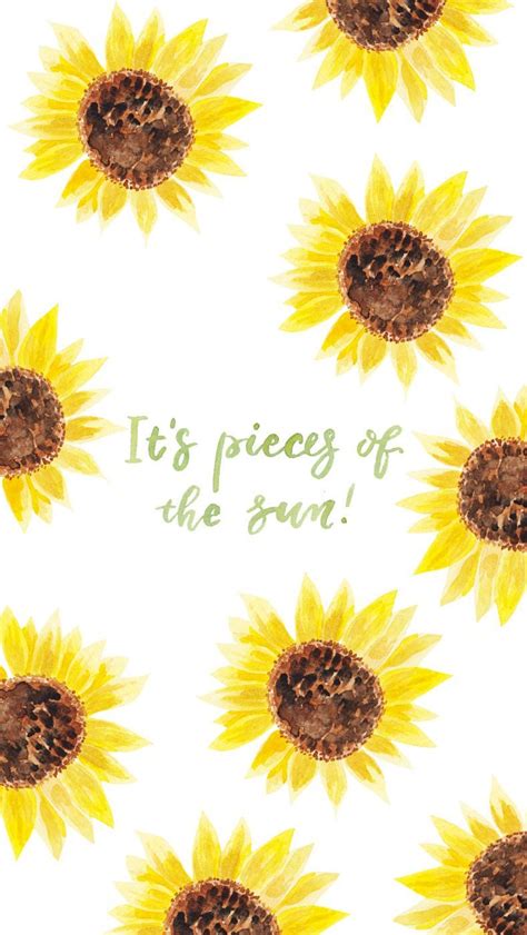 Sunflower Pattern Wallpapers Top Free Sunflower Pattern