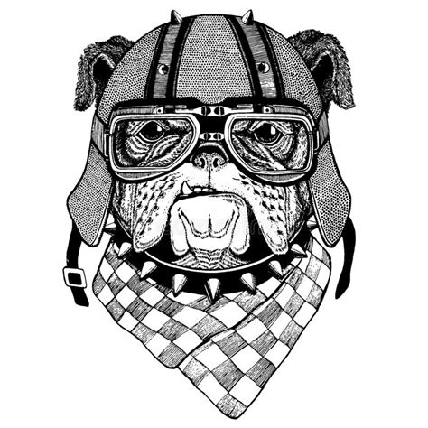 Aliexpress motorcycle helmet vintage online shopping site,the world largest motorcycle helmet vintage retail shopping guide platform,offers fantasy characters. Dog, Bulldog Wearing A Motorcycle, Aero Helmet. Hand Drawn ...