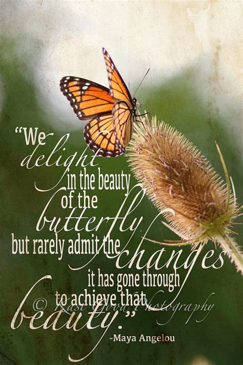 Inspirational Quotes About Butterflies Quotesgram