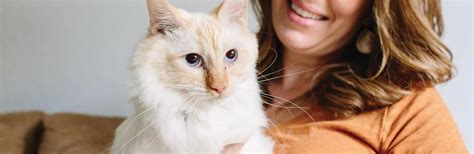 Embrace offers wellness rewards, which gives you an annual allowance you can apply to any eligible routine care options of your choice. Cat Insurance | Best Health Insurance Plans for Cats ...