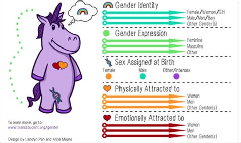Gender Identity And Gender Expression Selspace