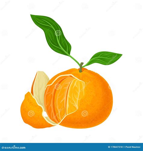 Half Peeled Mandarin Or Tangerine Fruit With Green Leaves Isolated On