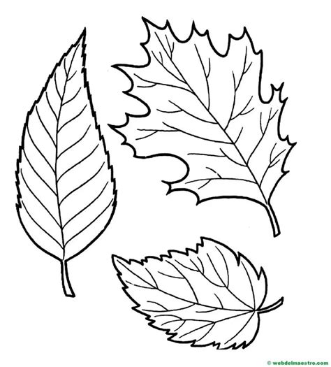 Dibujos Del Otoño Para Colorear Web Del Maestro Leaf Coloring Page