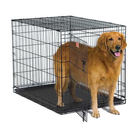 The Best Way To Crate Train Your Pet