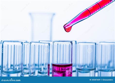 Laboratory Glassware In The Laboratory Experiment Stock Image Image Of Equipment Microbiology