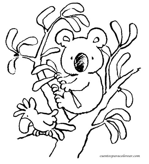 Coloriage Petit Koala Sur Les Branches Darbre Dessin Gratuit à Imprimer