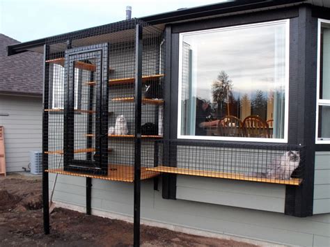 Ultimate Outdoor Cat Enclosures Unleashing The Best Kits In Nz
