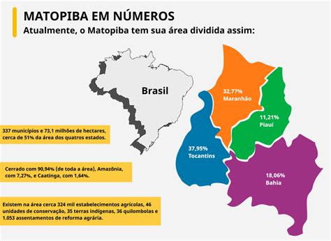 Região do Matopiba é a fronteira agrícola que mais se expande em área plantada no Brasil
