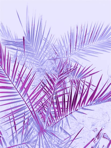 Purple Pastel Aesthetic Wallpapers - Top Free Purple Pastel Aesthetic ...