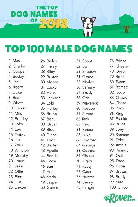 9 Ideas De Nombres De Perro Nombres De Perros Nombres Nombres Para
