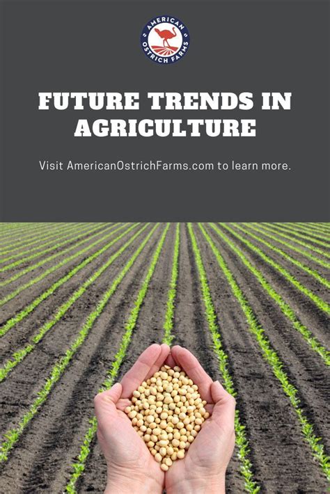What Does The Future Of The Agriculture Industry Look Like