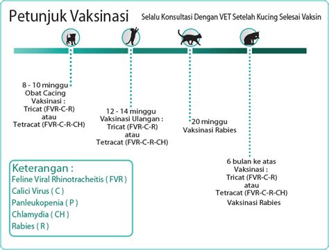 Usai sudah informasi mengenai harga kucing ragdoll, kucing rumahan yang imut dari california. VAKSIN KUCING SESUAI ANJURAN DOKTER HEWAN | Omah Kucing