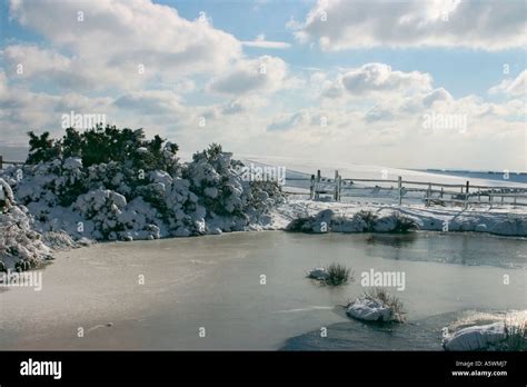 Winter Scene Frozen Dew Pond Surrounded By Deep Snow Stock Photo Alamy