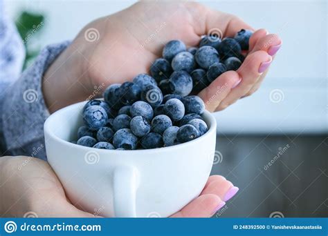 woman holding bowl with frozen blueberry fruits harvesting concept female hands collecting