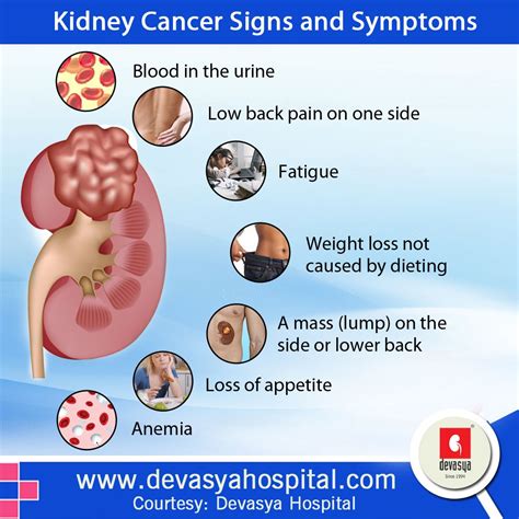 Cancer Kidneys Symptoms 5 Signs And Symptoms Of Kidney Cancer Learn