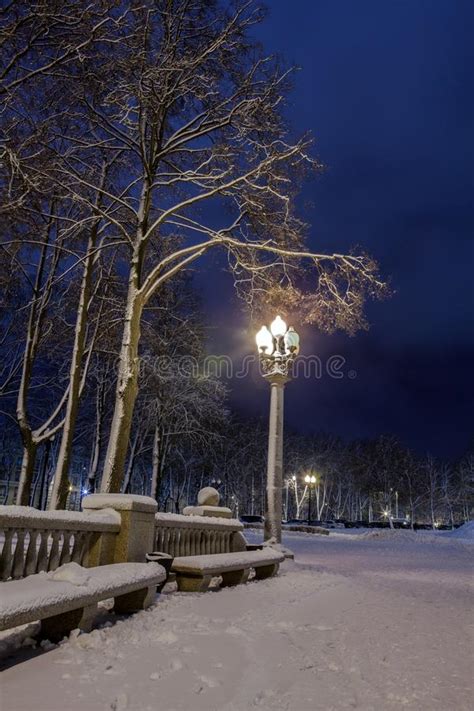 Winter Night In A Winter City Winter City Winter In A Park Snow