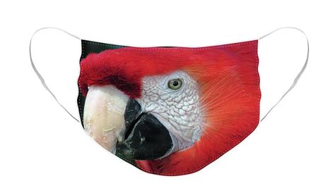 Face Of Scarlet Macaw Face Mask For Sale By Alexandras Photography