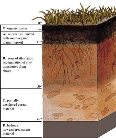 Soil Profile Soil Soil Texture Soil Layers