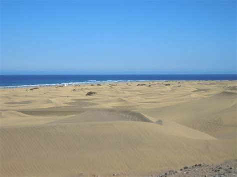 Where Is The Sex Beach Reserva Natural Especial De Las
