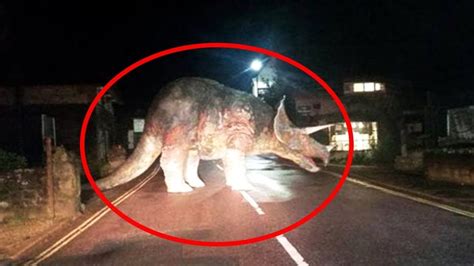 10 Dinosaurs Caught On Camera In Real Life Youtube