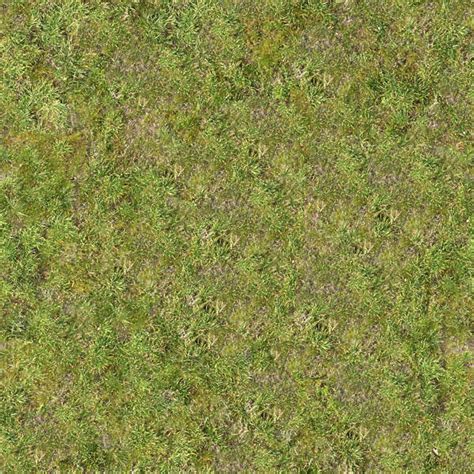 Grass0109 Free Background Texture Grass Short Ground