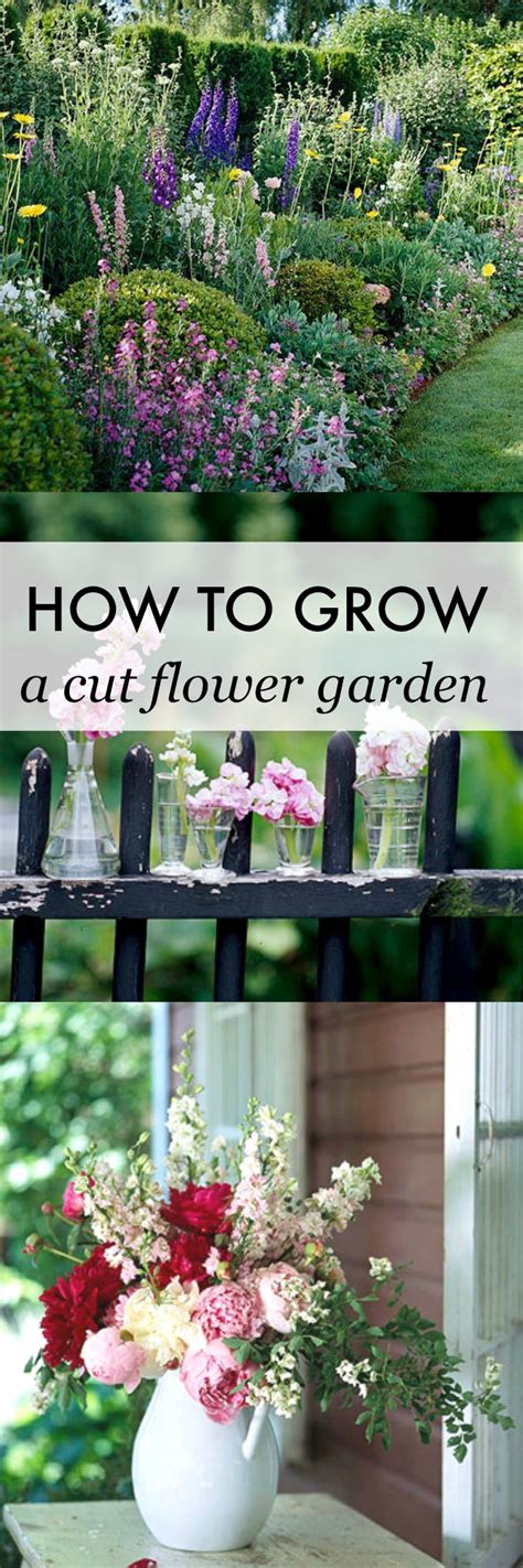 How To Grow A Cut Flower Garden Setting For Four