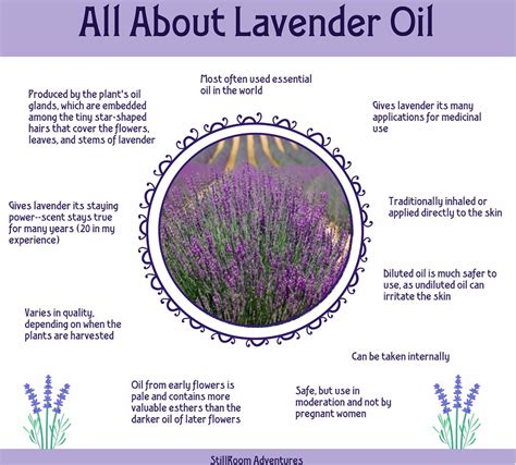 Medicinal Uses For Lavender