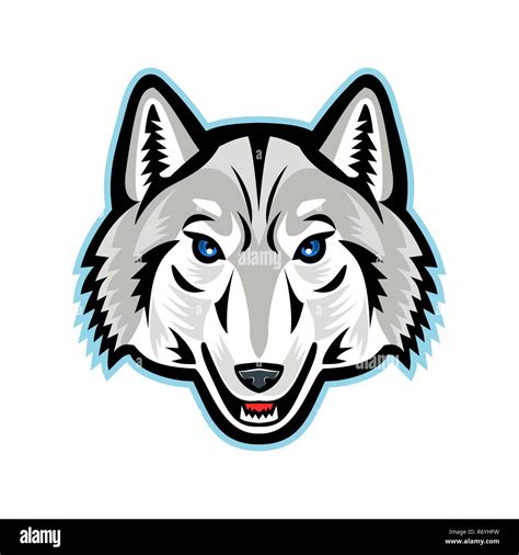 Artic Wolf Head Front Mascot Stock Photo Alamy
