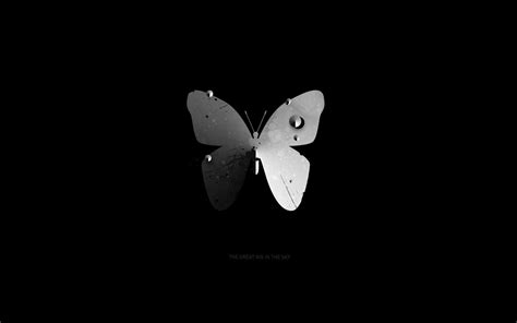 Black Butterfly Background Wallpaper 68 Images