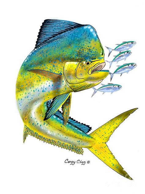 Mahi Digital Digital Art By Carey Chen Fish Art Mahi Fish Blue