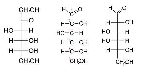 Basic Carbohydrate Chemical Structure