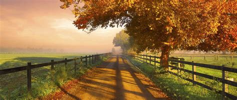 Wallpaper 1824x770 Px Australia Dirt Road Fall Fence Field