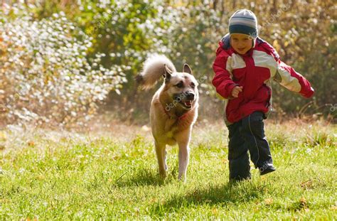 Little Boy Playing With His Dog Stock Photo By ©saasemen 1447634
