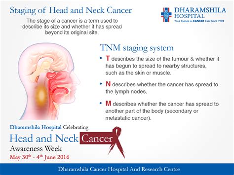 Dharamshila Cancer Hospitalbest Cancer Hospital — Staging Of Head